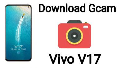 Download Gcam for Vivo V17