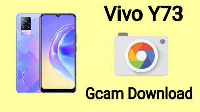 Vivo Y73 Gcam Download