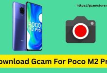 Download Gcam For Poco M2 Pro