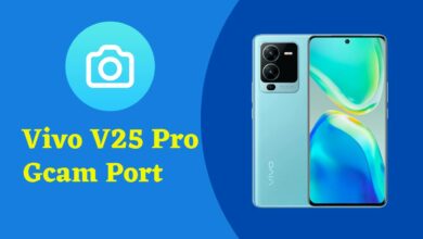 Vivo V25 Pro Gcam Port