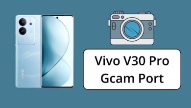 Vivo V30 Pro Gcam Port
